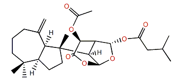 Chelonaplysin A